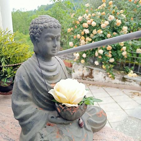 Amrita Rosa Hotell Castellamonte Eksteriør bilde
